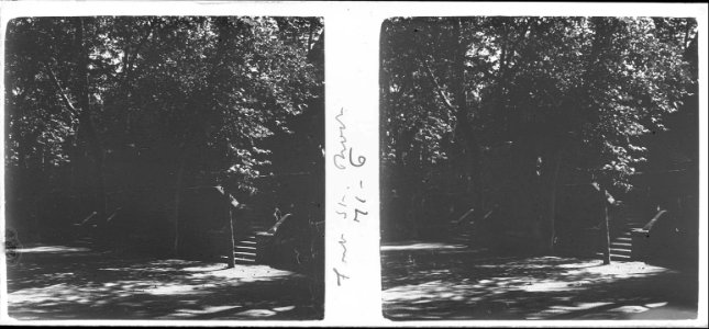 A la font de Sant Roc