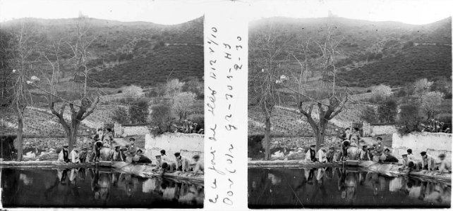 A la font del Lleó