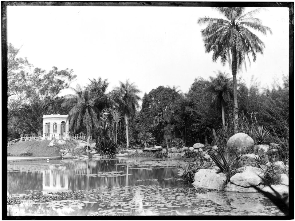 A lagoa do Jardim Botânico, Acervo do Instituto Moreira Salles