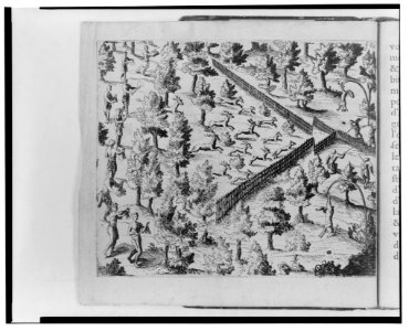 A method of hunting deer in the Northeast LCCN2001695749