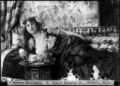 A Modern Odalisque LCCN2005693275