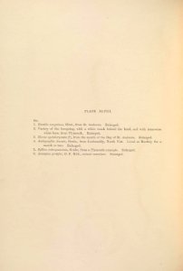 A monograph of the British marine annelids 1908 XLVIIItext