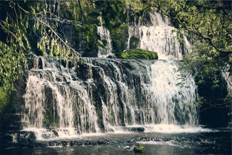 Water rocks trees