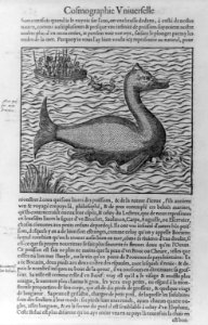 A Monstrous Fish LCCN2006687139