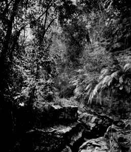 A MOUNTAIN PASS IN THE ISLAND OF FORMOSA