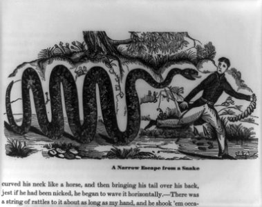 A narrow escape from a snake LCCN2006682672