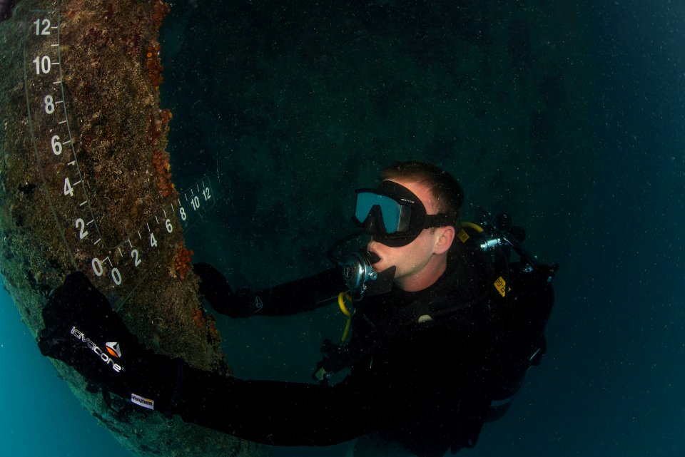 A Navy diver inspects piles during a survey on a deep draft wharf. (16301172996)