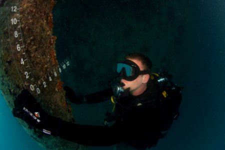 A Navy diver inspects piles during a survey on a deep draft wharf. (16301172996)