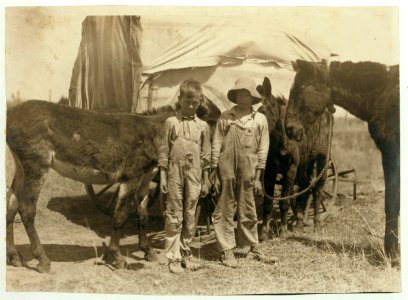 A pair of truants, tending their father's mules. Photo taken during school hours, near Oklahoma City. Boys are 9 and 11 yrs. old. LOC nclc.00666