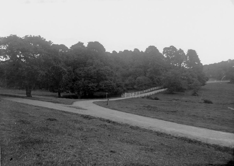 A parkland scene (4785982)