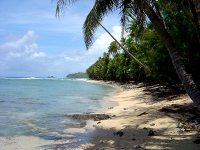 A palm-lined jungle coastline on Guam (line378676781)