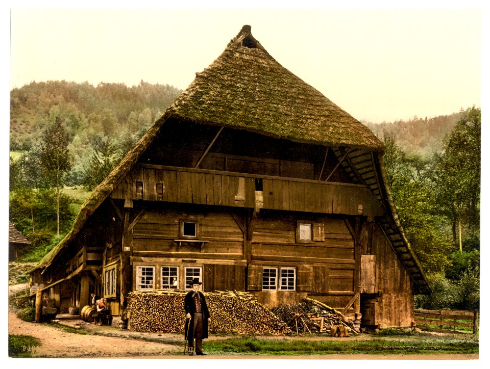 A Peasant's house, Black Forest, Baden, Germany-LCCN2002713564