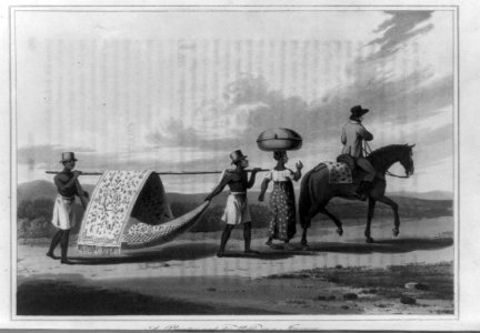 A Planter and his wife on a journey LCCN89711150