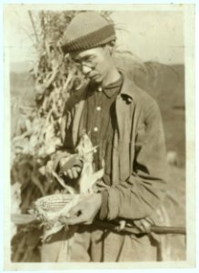 A Product of the 4 H Club. Gradie Walton, 17 yrs. Old. See Photo No. 40 and 41. LOC nclc.04379