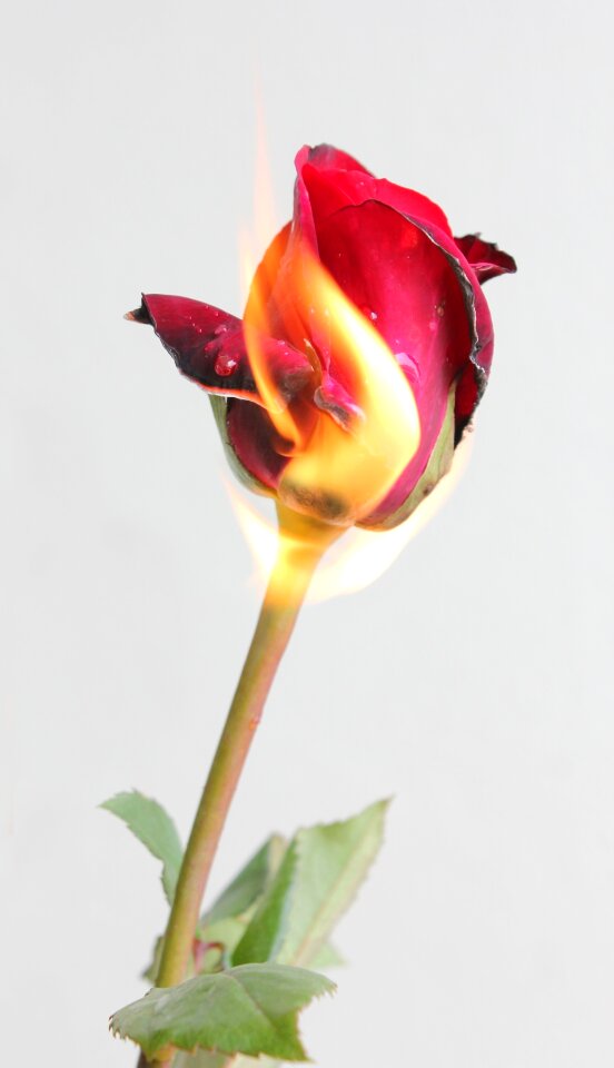Romantic hot macro