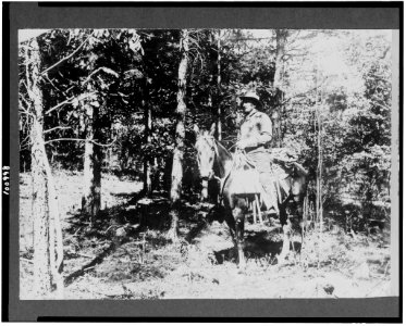 A Ranger on horseback LCCN90709404