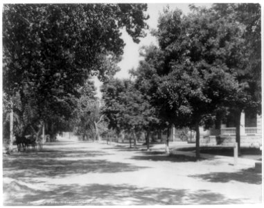 A residential street, Albuquerque, New Mexico LCCN2006678495