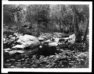 A rocky stream at Yosemite National Park, Calif. LCCN95514045