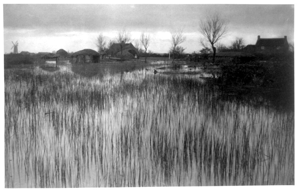 A Rushy shore LCCN90706076