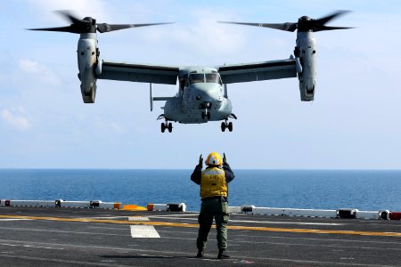 A Sailor directs an MV-22 at sea. (8497232281)