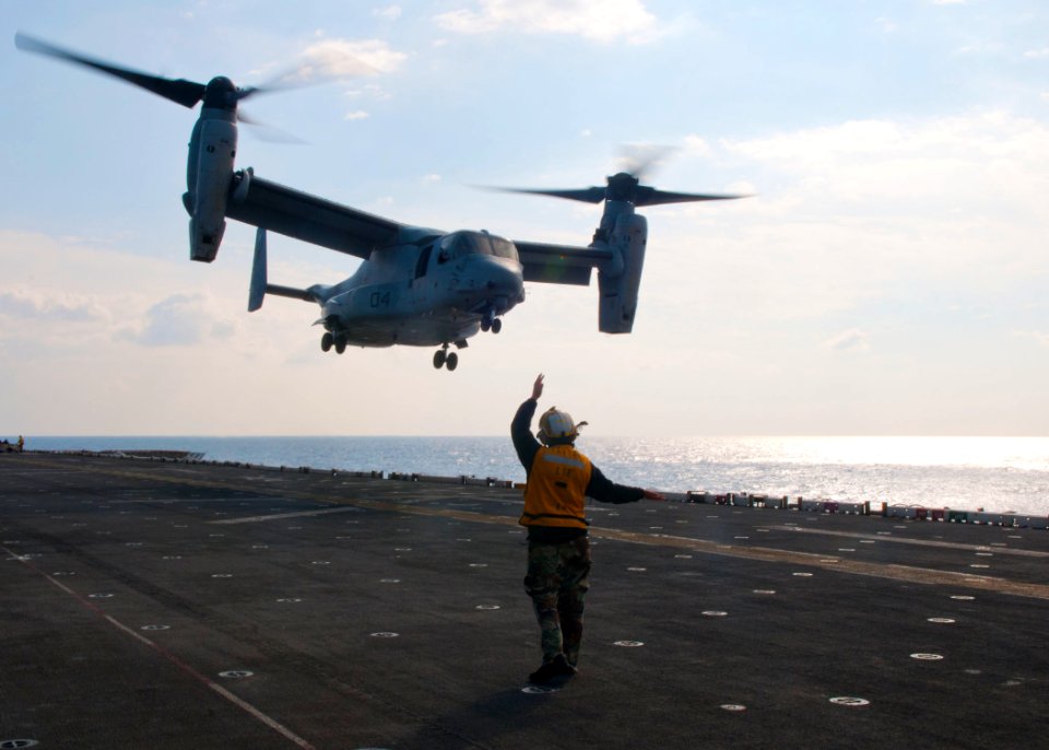A Sailor directs and MV-22 Osprey. (8226341533)