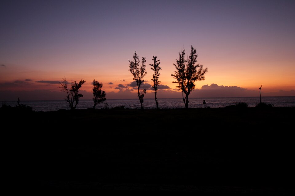 Twilight dawn landscape