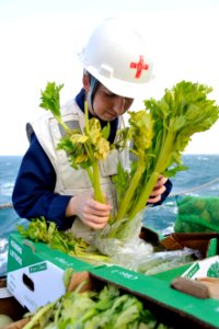 A Sailor inspects recently received celery. (8455082245)