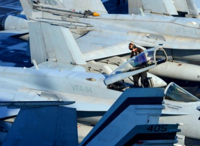 A Sailor maintains aircraft aboard USS Carl Vinson. (16715084802)