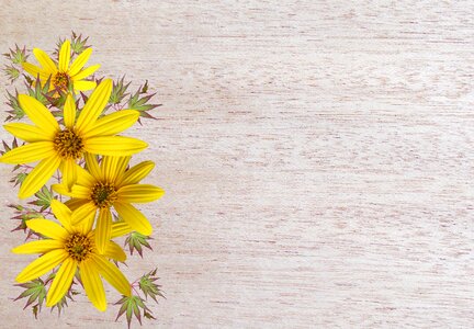 Yellow daisy decoration