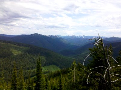 A scene from the Idaho Panhandle National Forest (25571231367)
