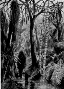 A Short History of the World, p0040