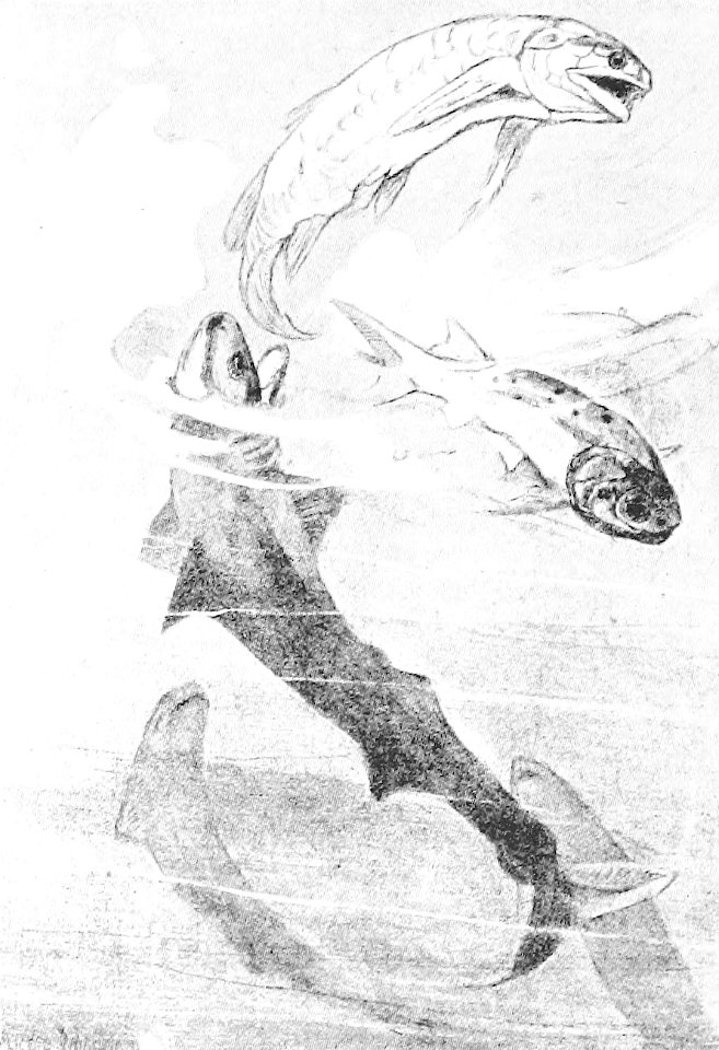 A Short History of the World, p0037