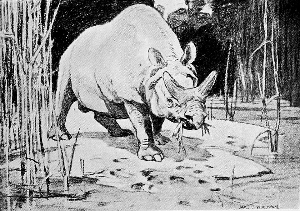 A Short History of the World, p0056
