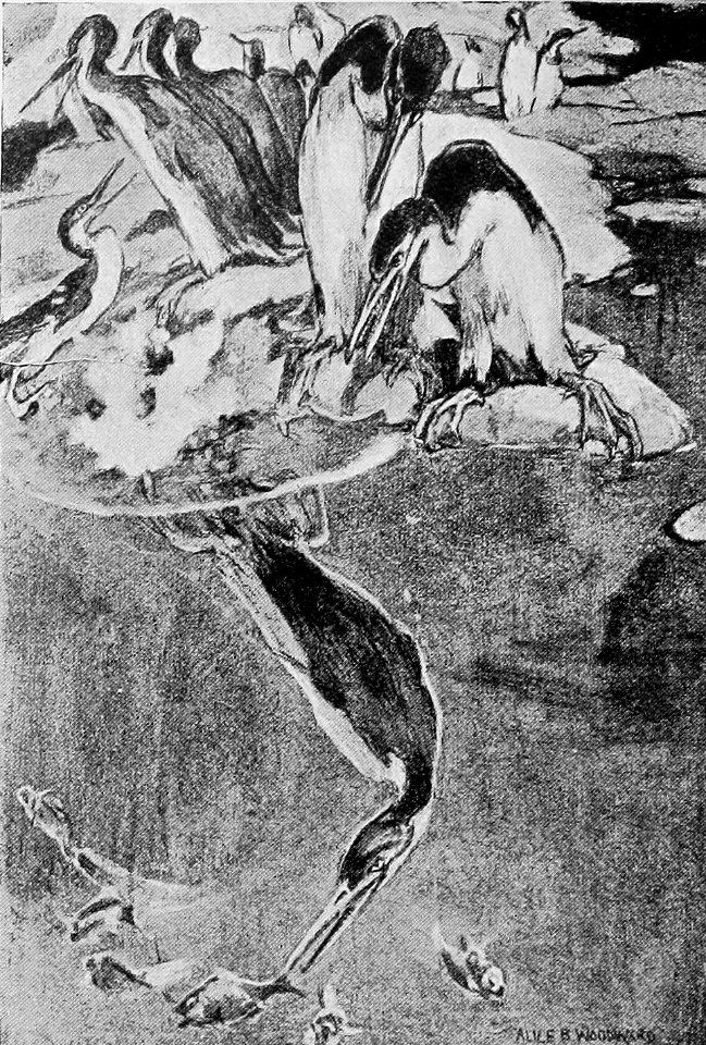A Short History of the World, p0051