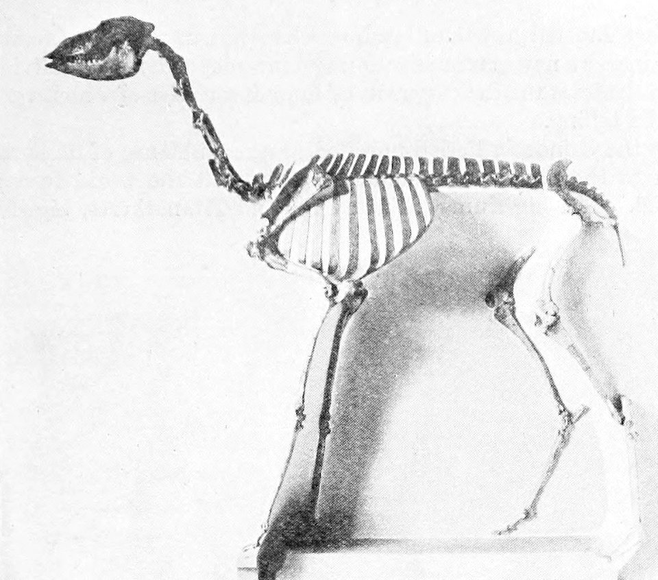 A Short History of the World, p0058a