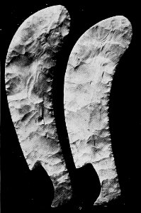A Short History of the World, p0104a
