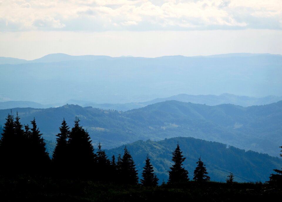Landscape ukraine caprates