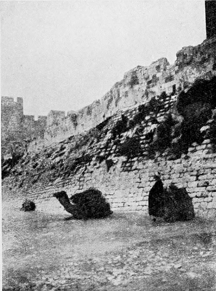 A Short History of the World, p0228