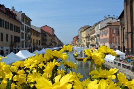 Spring naviglio architecture