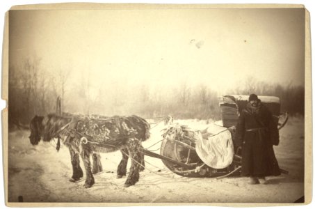 A Siberian posting sledge on a cold morning, with GK (i.e., George Kennan) standing at the right LCCN99615510