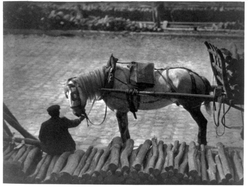 A snapshot- Paris (1911) - Alfred Stieglitz. LCCN89708627