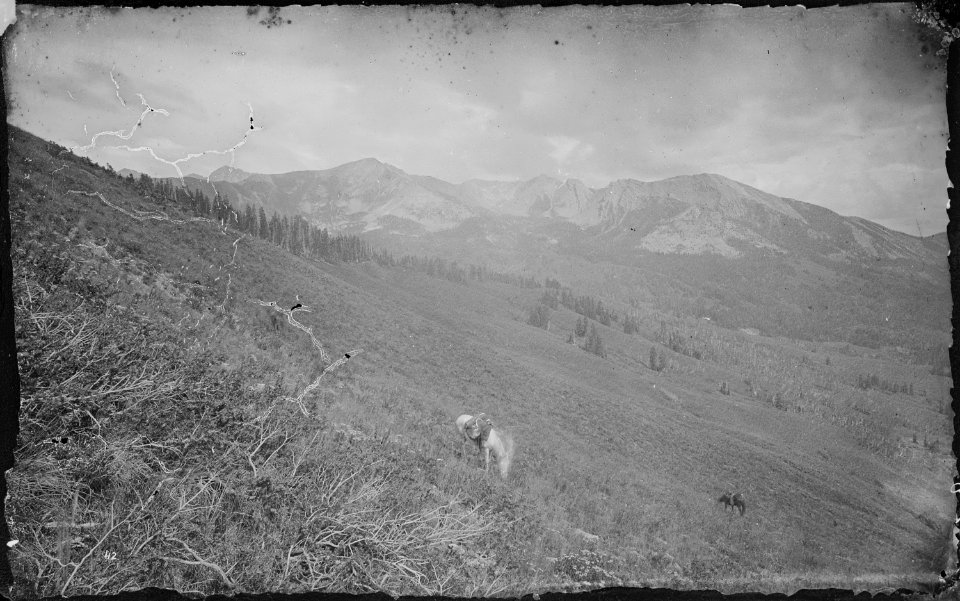 A spur of the Elk Mountains. Gunnison County, Colorado - NARA - 517014