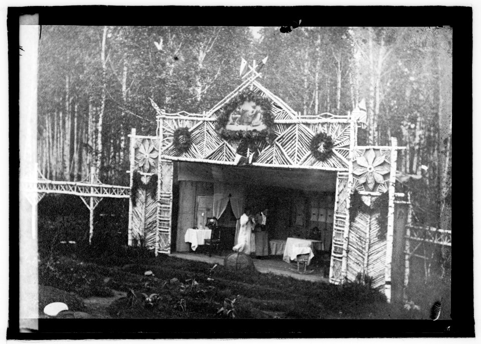 A stage built on the edge of the forest by Czecho-Slovak soldiers in Siberia LCCN2016822063