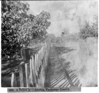 A Street in Columbia, Tuolumne Co. LCCN2002717175