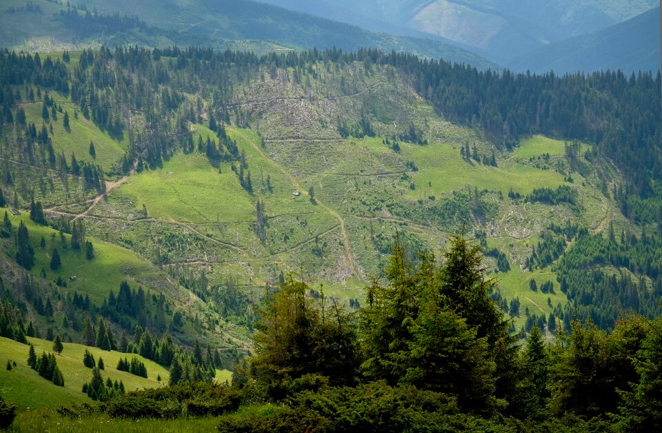 Nature journey slopes