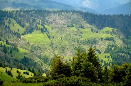 Nature journey slopes photo