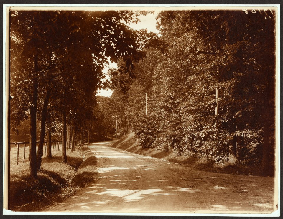 A sunny road LCCN2009633592