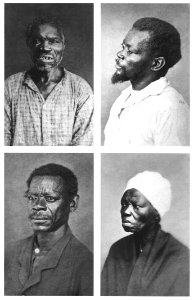 Alberto Henschel - Retratos