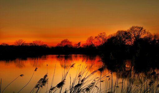 Sunset nature water photo