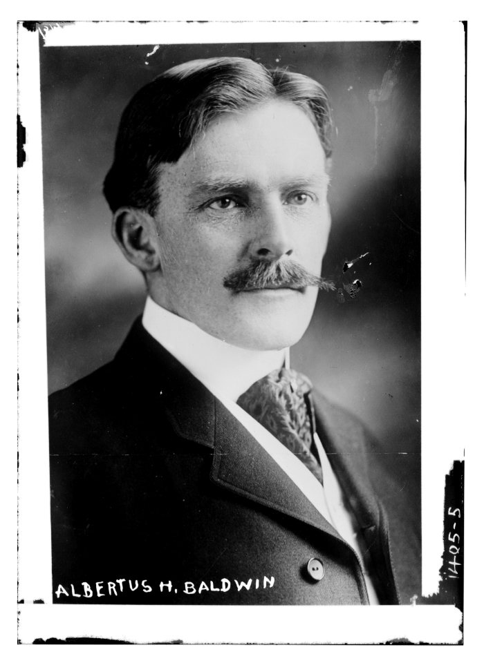 Albertus H. Baldwin LCCN2014687744
